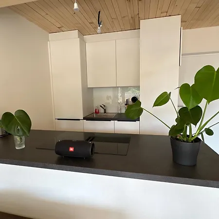 Bodenseeblick * Dornbirn