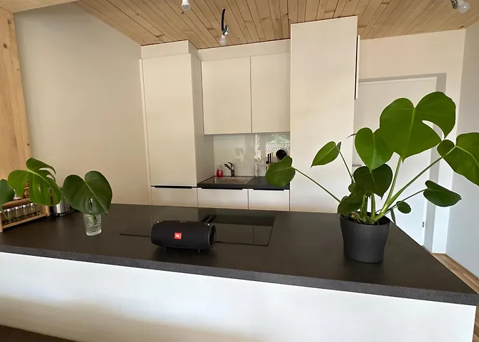 Bodenseeblick * Dornbirn